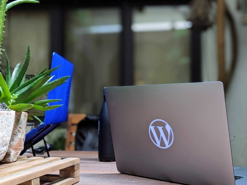 A laptop on an outdoor table beside a potted plant.