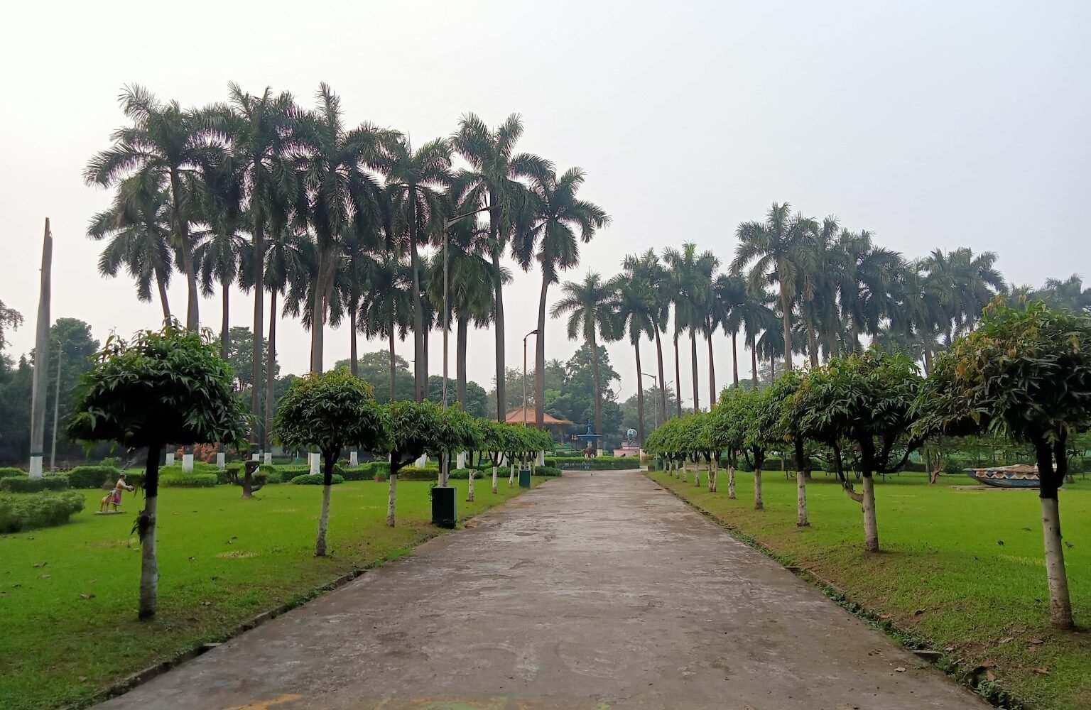 A green park walkway lined with palm trees and lawns.