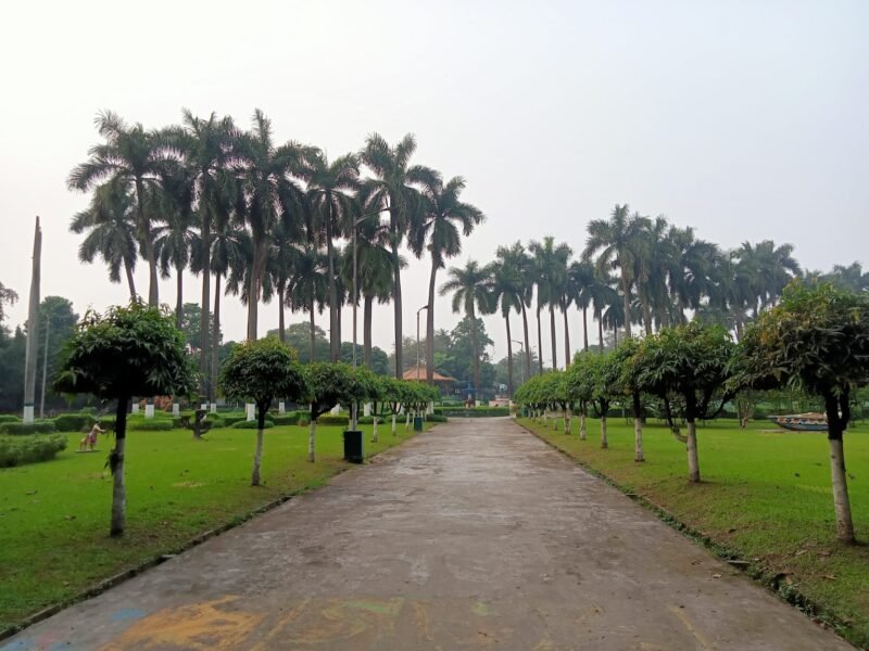 A green park walkway lined with palm trees and lawns.