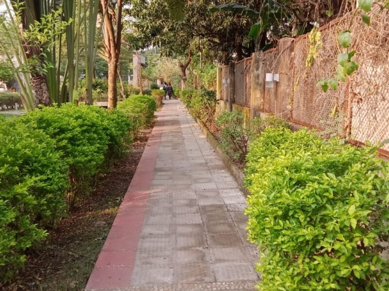 A paved walking path running through a green park.