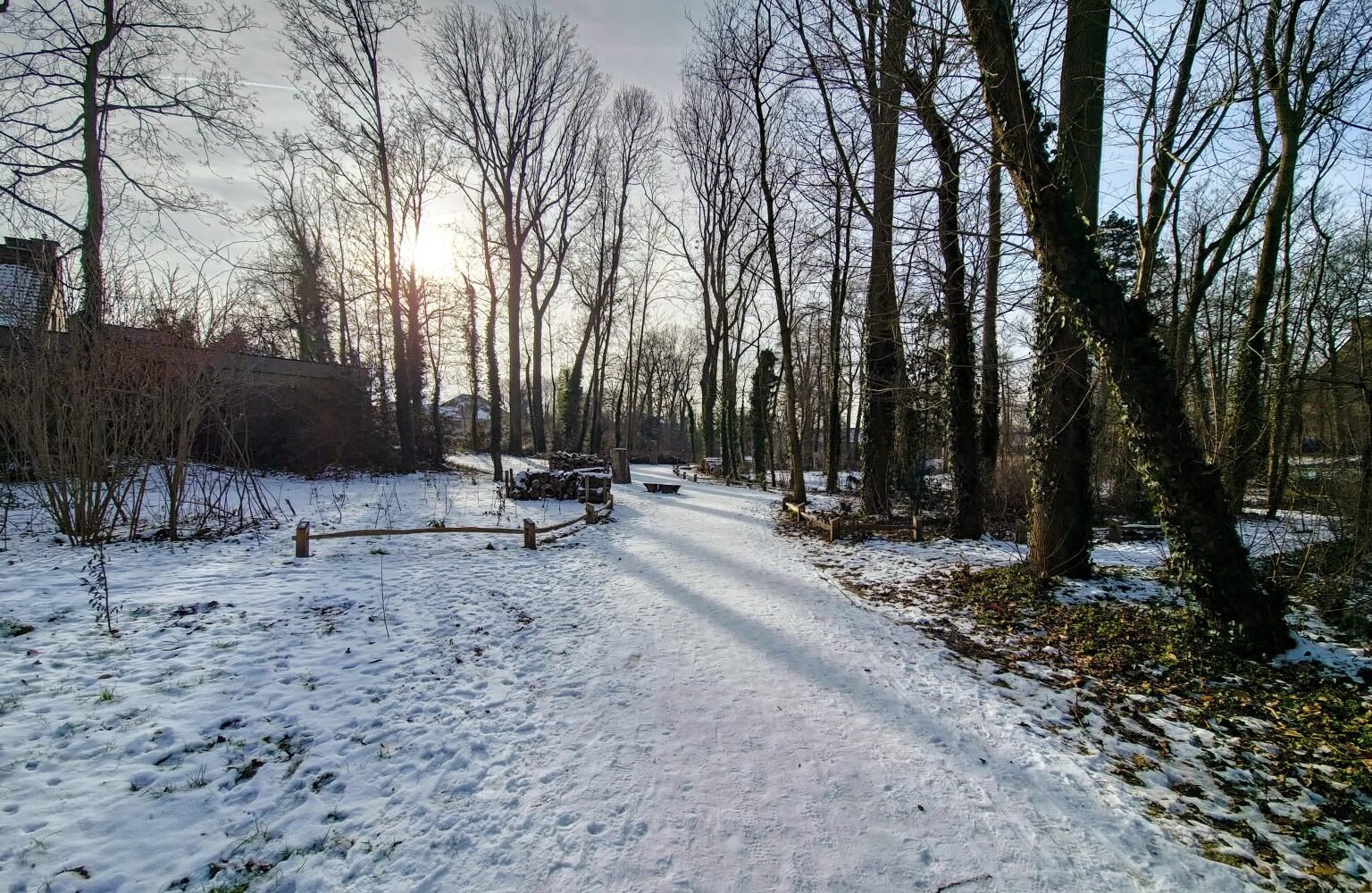 A snow-covered walking path through a local park with trees.