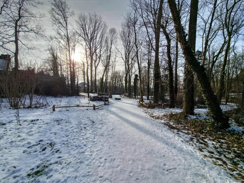A snow-covered walking path through a local park with trees.